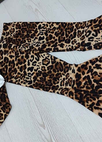 Diğer Leoparlı takım