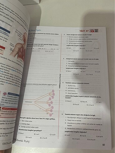  Fundamentals ayt biyoloji
