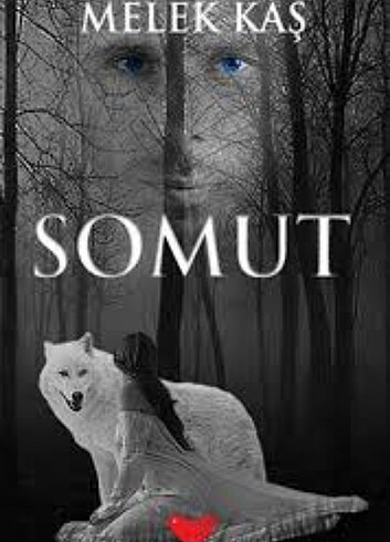 Somut