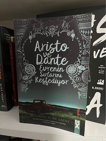 aristo ve dante evrenin sırlarını keşfediyor