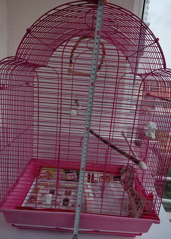 Renkli Pembe Kuş Kafesi - Görsel 3