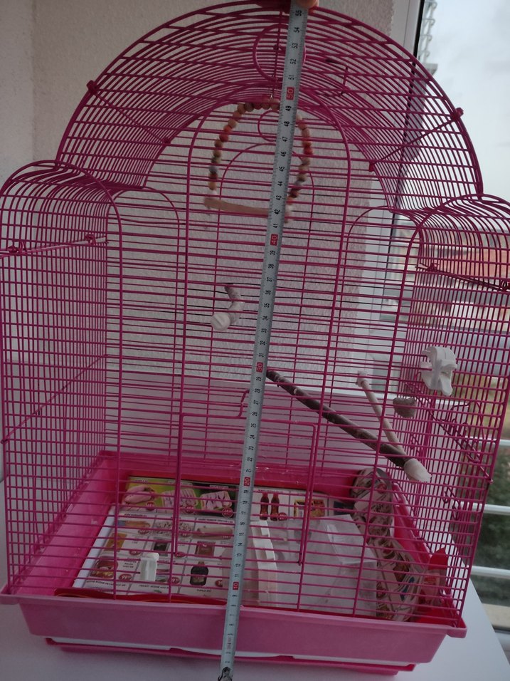 Renkli Pembe Kuş Kafesi - Görsel 3