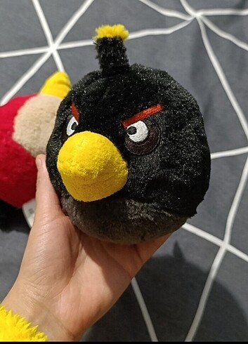 Siyah bird