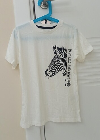 Limon Company 7 Yaş