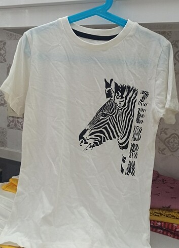 LİMON ERKEK ÇOCUK T-shirt  - Görsel 3