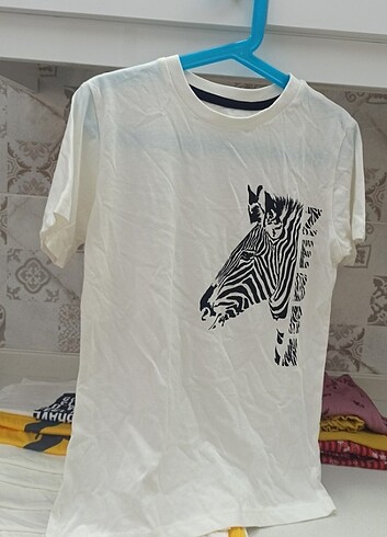 LİMON ERKEK ÇOCUK T-shirt  - Görsel 4