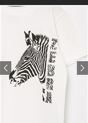 LİMON ERKEK ÇOCUK T-shirt  - Görsel 7