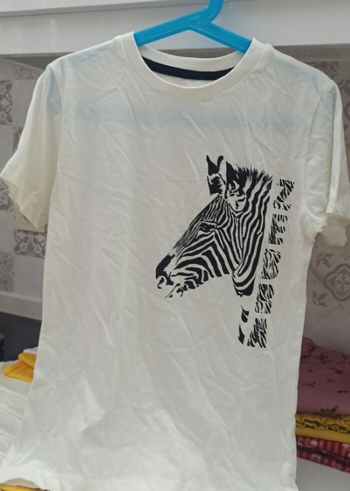 LİMON ERKEK ÇOCUK T-shirt  - Görsel 3