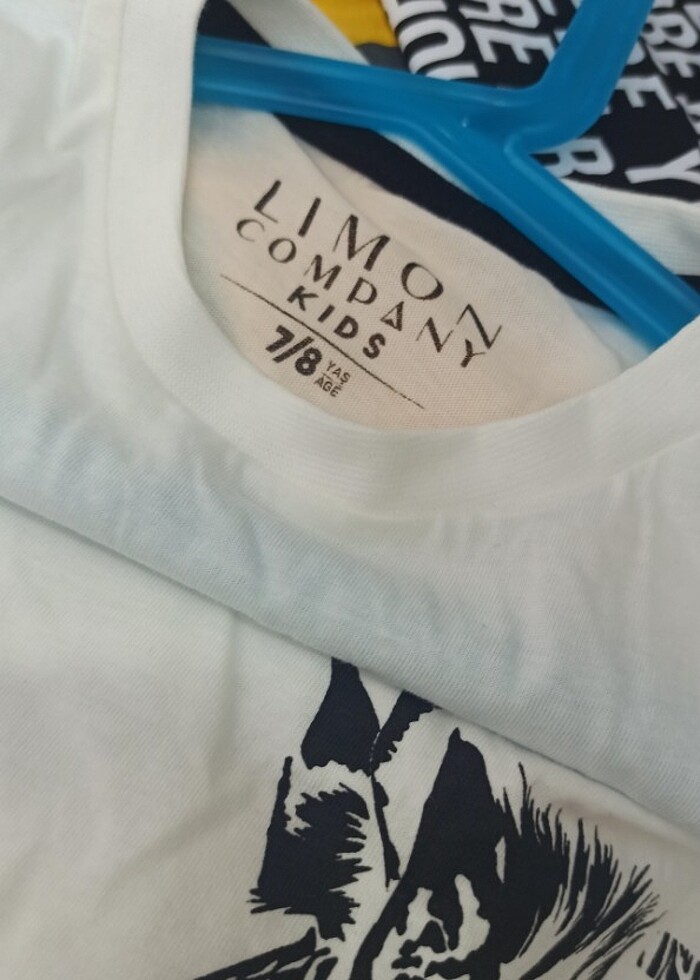 LİMON ERKEK ÇOCUK T-shirt  - Görsel 5