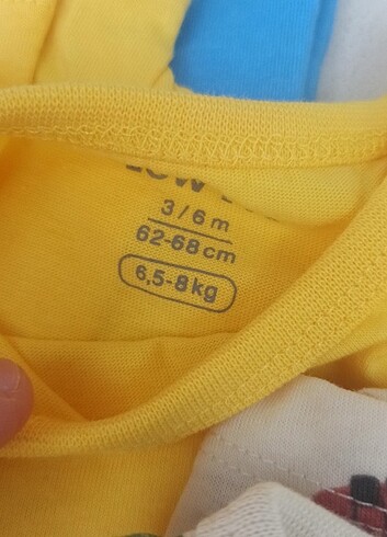 LC WAİKİKİ ERKEK ÇOCUK TULUM (3'LÜ ÜRÜN) - Görsel 3