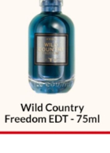 avon erkek parfumu