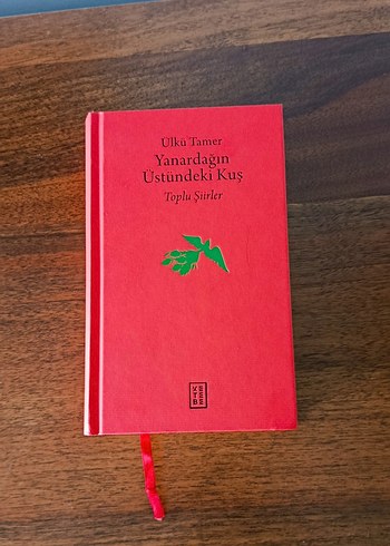 Yanardağın Üstündeki Kuş - Ülkü Tamer - Görsel 5