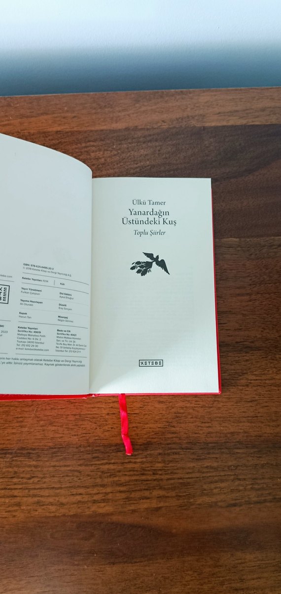 Yanardağın Üstündeki Kuş - Ülkü Tamer - Görsel 4