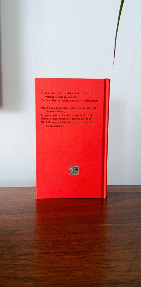 Yanardağın Üstündeki Kuş - Ülkü Tamer - Görsel 3