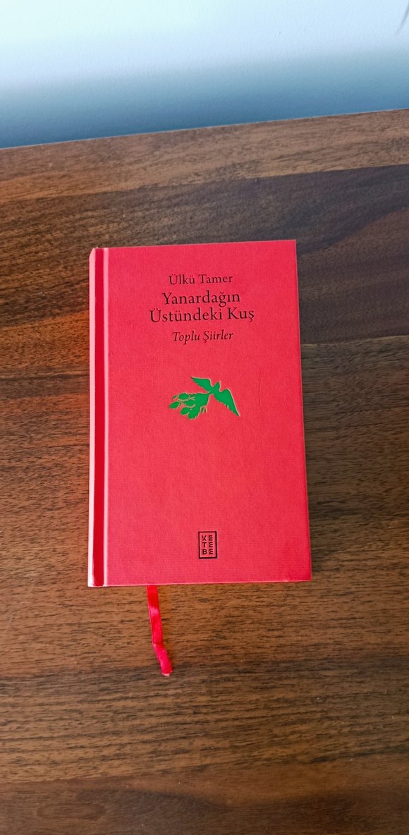 Yanardağın Üstündeki Kuş - Ülkü Tamer - Görsel 5
