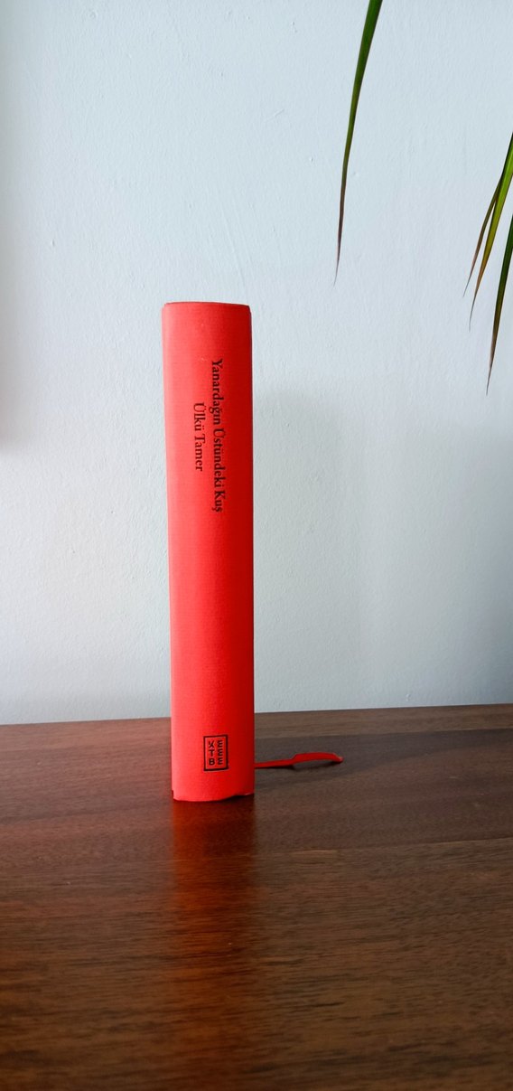 Yanardağın Üstündeki Kuş - Ülkü Tamer - Görsel 2