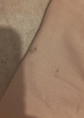 Kız Çocuk Pembe Minnie Baskılı Pamuklu Eşofman - Görsel 5