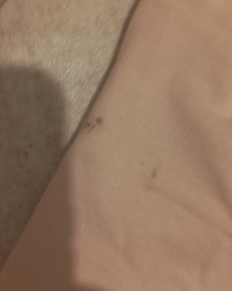 Kız Çocuk Pembe Minnie Baskılı Pamuklu Eşofman - Görsel 5