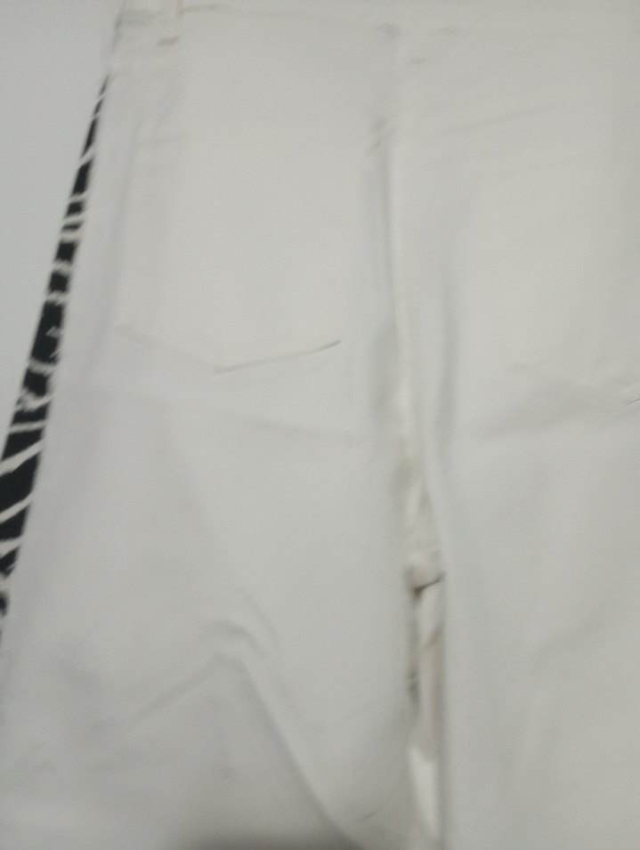 Zebra Desenli Kadın Kumaş Pantolon - Görsel 4