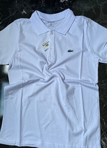 Lacoste Tişört 