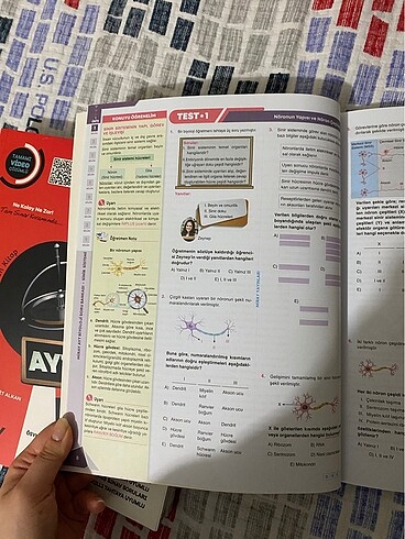 miray yayınları ayt biyoloji konu özetli soru bankası