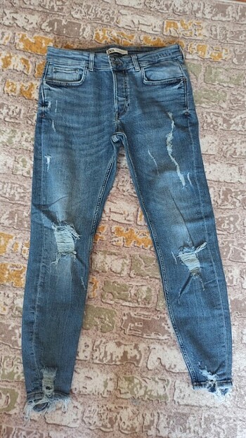 Kot pantalon