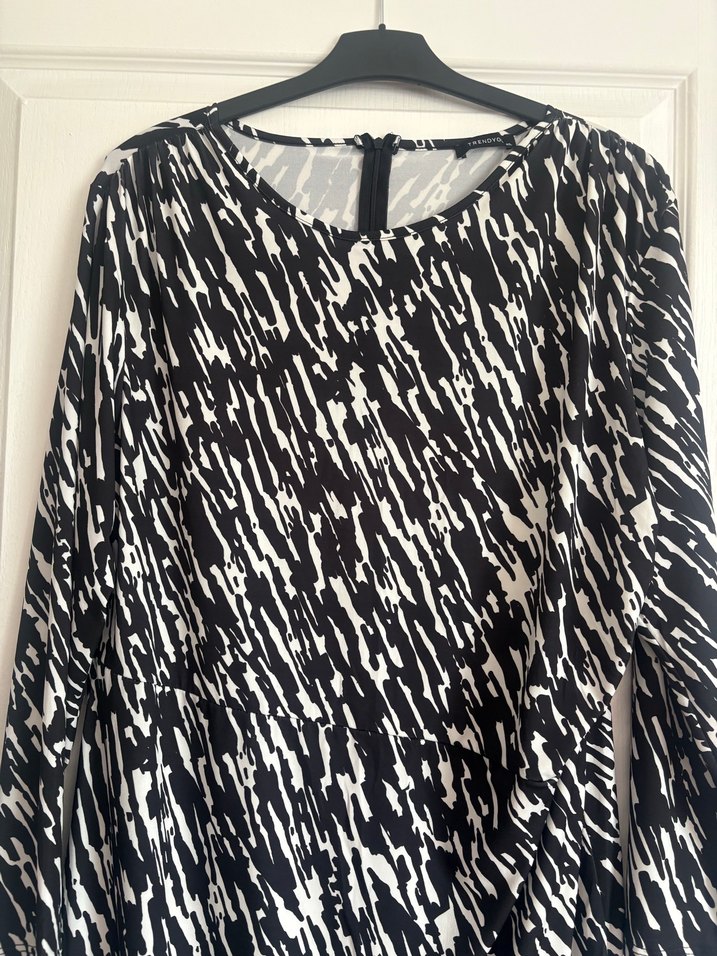 Zebra Desenli Uzun Kollu Elbise - Görsel 5