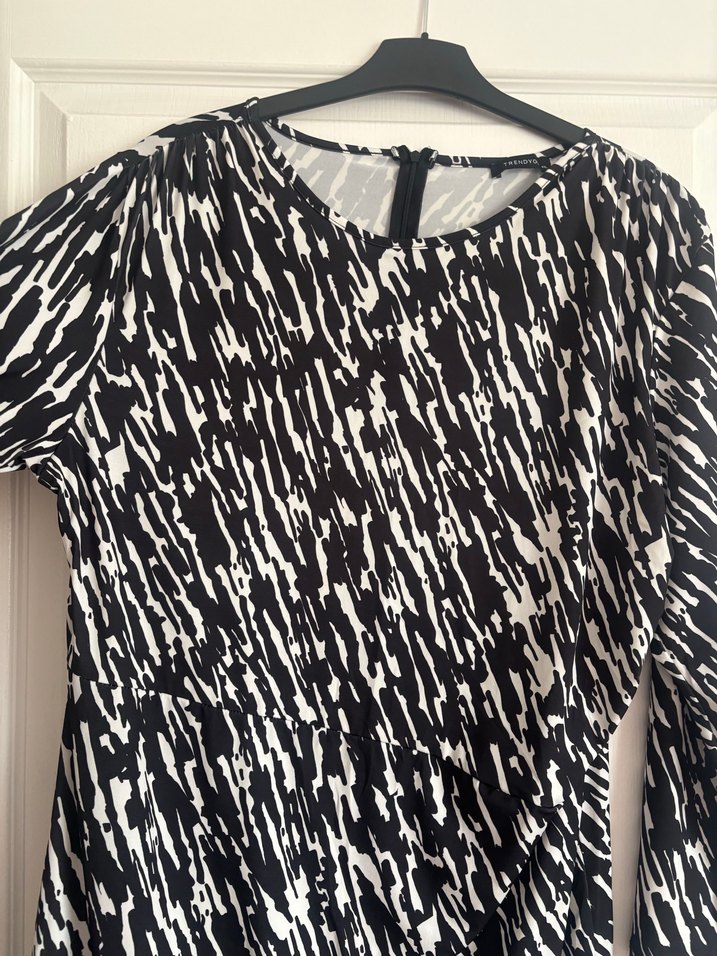 Zebra Desenli Uzun Kollu Elbise - Görsel 2