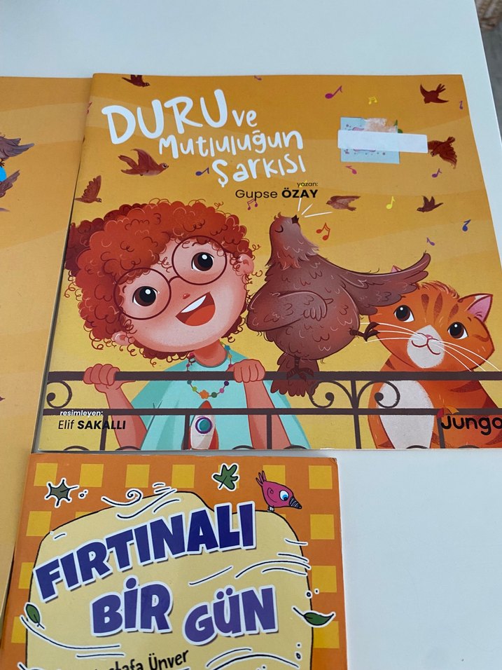 Çocuk Kitapları Seti: Duru ve Fırtınalı Bir Gün - Görsel 2