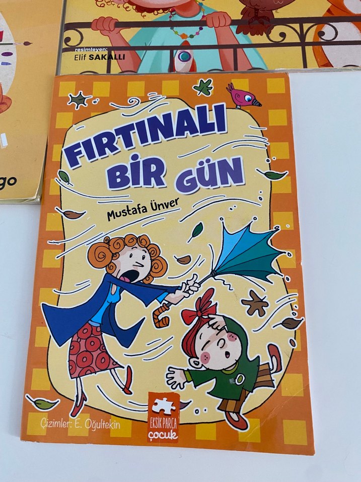 Çocuk Kitapları Seti: Duru ve Fırtınalı Bir Gün - Görsel 4