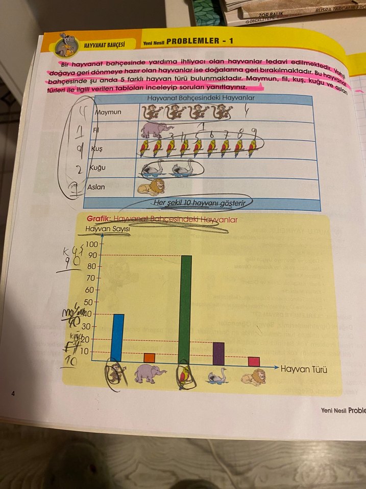 3. Sınıf Yeni Nesil Problem Kitabı - Görsel 2