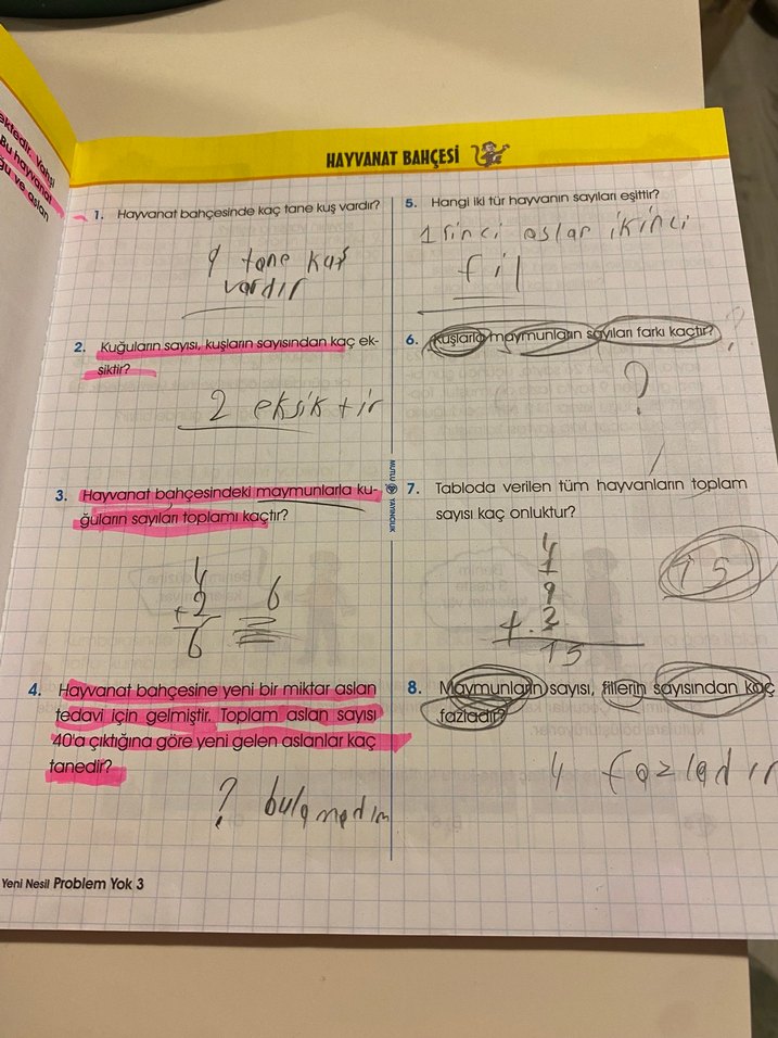 3. Sınıf Yeni Nesil Problem Kitabı - Görsel 3