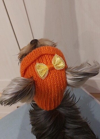 Beden Kedi köpek atkı şapka seti