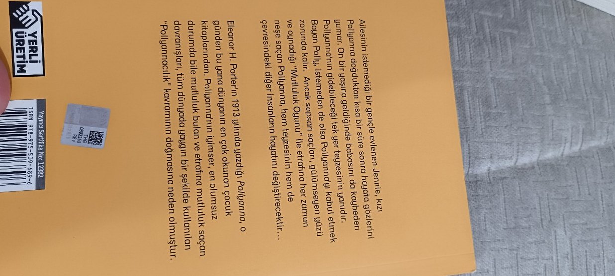 Pollyanna - Eleanor H. Porter - Görsel 2