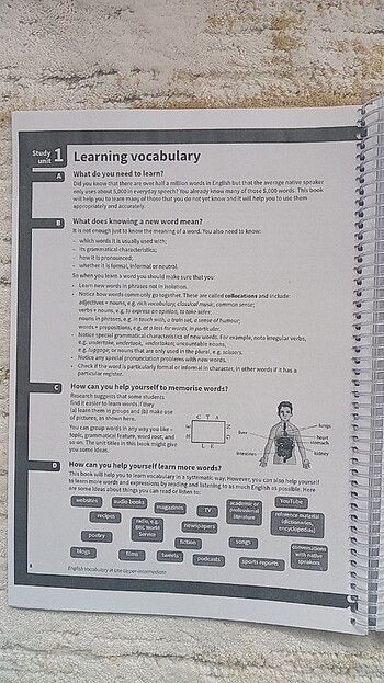  Beden Renk English vocabulary in use 