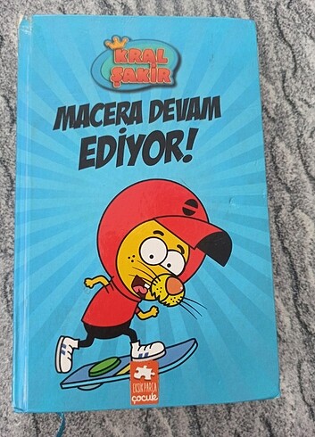 Beden Renk Kral Şakir(1,2,3,4,5,6,7,8,9,10) ve Saftirik(3,14) Kitapları