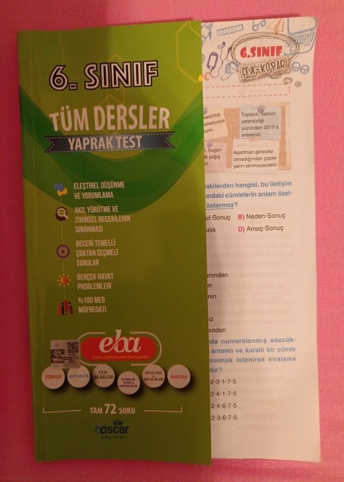 4. VE 6. SINIFLAR İÇİN HAZIRLIK KİTAPLARI - Görsel 3