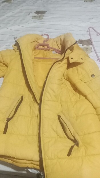 Mont sarı renkte kullanılmış