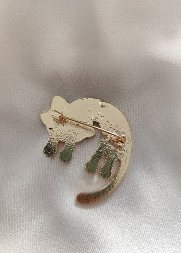 Şaşkın kedi broş  - Görsel 2