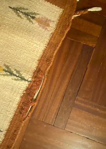 Bej Renkli Urfa ili Desensiz kilim - Görsel 9