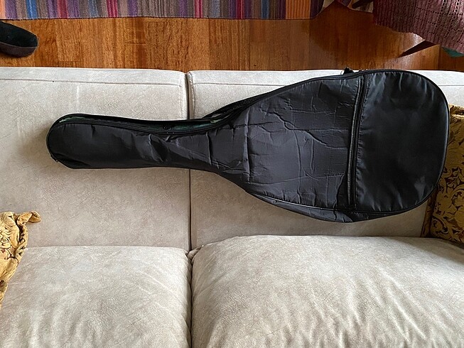 Gitar kılıfı