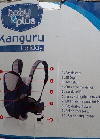 Diğer Kanguru