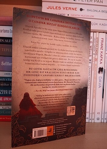 Bir karanlık pencere + tatilde tanıştığımız insanlar