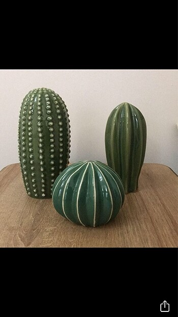 3lü kaktüs set