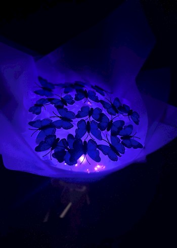 Mavi Kelebek buketi - Görsel 2