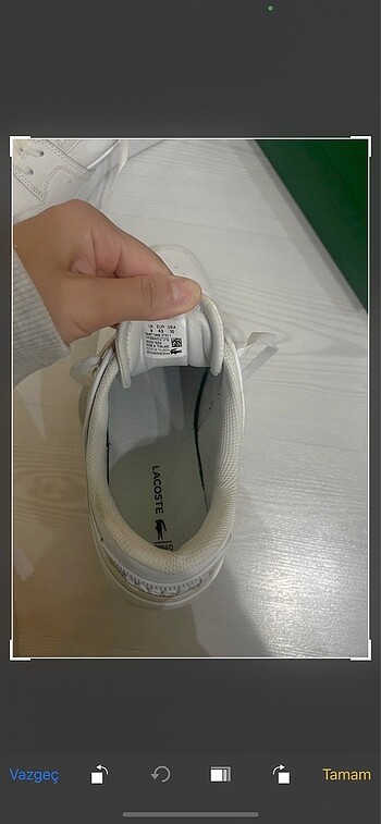 43 Beden Orjinal Lacoste
