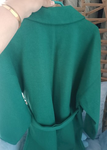 Yeşil Kuşaklı Kaban - Görsel 4