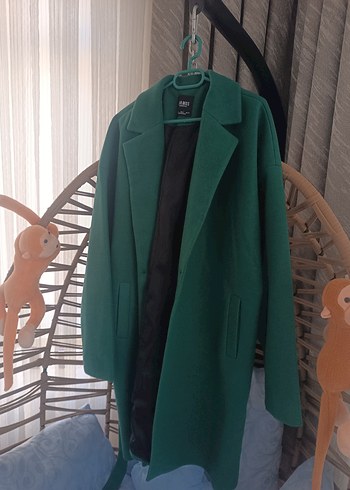 Yeşil Kuşaklı Kaban - Görsel 2