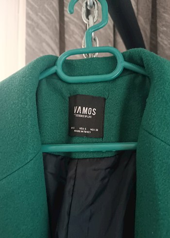 Yeşil Kuşaklı Kaban - Görsel 3