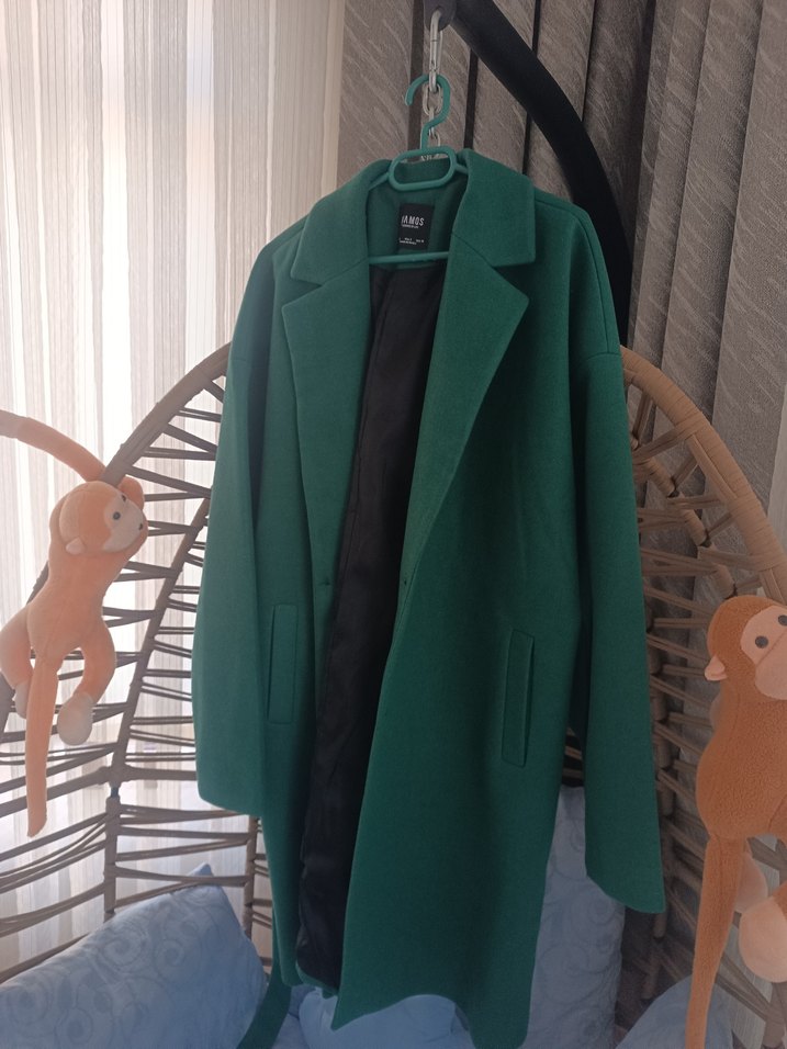 Yeşil Kuşaklı Kaban - Görsel 2